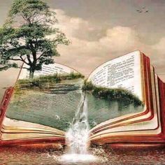 an open book sitting on top of a body of water with a tree growing out of it