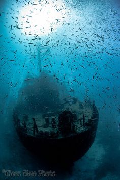 a large boat in the ocean with lots of small fish around it's surface