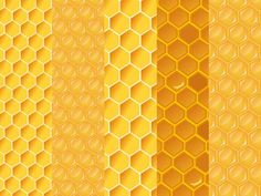 yellow honeycombs are arranged in rows on a white and orange background with shadows