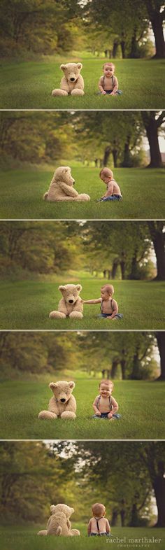 a teddy bear sitting in the grass with four different pictures behind it, and one is holding a camera