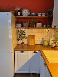 a kitchen with white cabinets and wooden counter tops, plants on the shelf above the sink