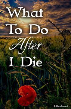 a red flower sitting in the middle of a field with text that reads, what to do after i die