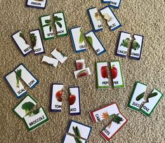 a collection of matching cards on the floor with vegetables and words in them, including tomatoes, broccoli, spinach, cucumbers, lettuce