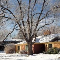 a house covered in snow next to a tree