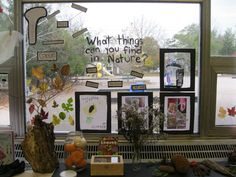 the window is decorated with pictures and plants in front of it that say what things can you find in nature?