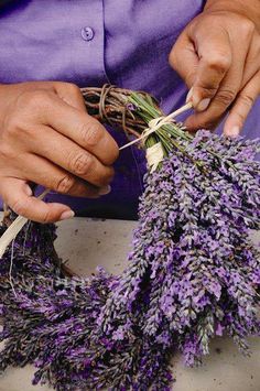 a person is working on some lavender flowers