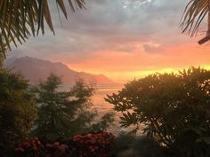 the sun is setting over the water and trees in front of some bushes with red flowers