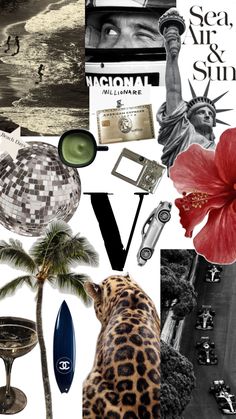 the collage has many different things in it including flowers, palm trees and pictures