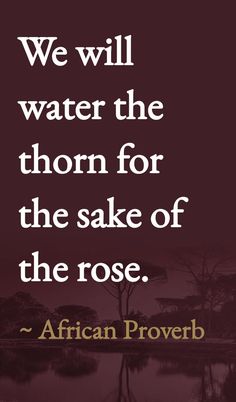 a quote from african prove that says, we will water the thorn for the sake of the rose