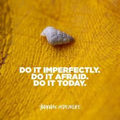 a white shell sitting on top of a yellow surface with the words do it incredibly, do it afraid, do it today