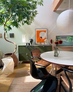 a dining room table with chairs and a potted tree in the corner next to it