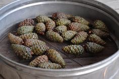 several pine cones are placed in a metal pan on a wooden table, ready to be cooked