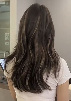 Brown Highlight Balayage, Asian Long Hair Highlights, Cool Toned Dark Brown Hair With Highlights, Soft Highlights For Black Hair, Asian Partial Highlights, Highlights In Black Hair Straight, Partial Highlights For Dark Hair Blonde, Silver Extensions Hair, Asia Hair Colour