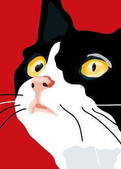 a black and white cat with yellow eyes looking to the side on a red background