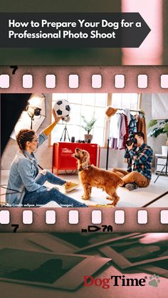 Article title in black flag. Red photo film background. Foreground is image of dog in photography studio. Below all of this is the DogTime logo. Professional Photo Shoot, Create Picture, Professional Photo, The Deep, Professions, Photo Credit, Photo Shoot