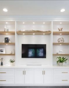 an entertainment center with built - in shelving and potted plants