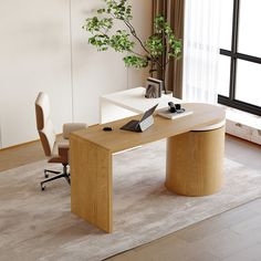 an office desk with a plant in the corner and a chair next to it on a carpeted floor