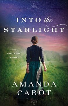 the cover of into the starlight by amanda cabot