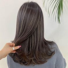 Balayage, Korean Highlights Hair Color, Korean Balayage Hair, Korean Highlights, Cabelo Ombre Hair, Hight Light, Hair Color Underneath, Brown Hair Inspo, Ash Hair Color