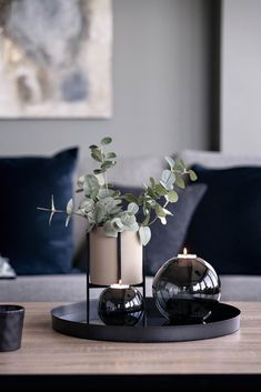 two vases with plants in them sitting on a coffee table next to a couch