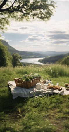 a picnic is set up on the grass near a tree and water in the distance