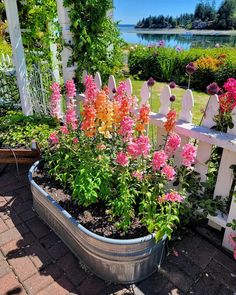 a garden with flowers and a white picket fence