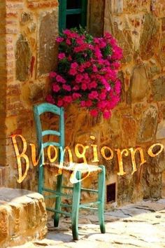 a blue chair sitting in front of a window next to a pink flower pot with the word bologna on it