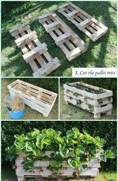 several different types of wooden pallets with plants growing in them and the words, i cut