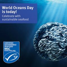 an advertisement for the world oceans day