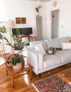 a living room filled with furniture and a cat laying on the couch