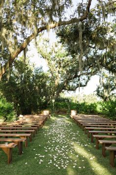 an outdoor ceremony setup with wooden benches and petals on the ground in front of trees