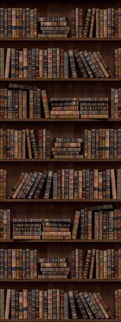 a book shelf filled with lots of books on top of wooden shelves next to each other