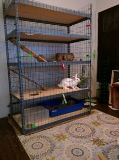 a caged area with various items in it and a rug on the floor next to it