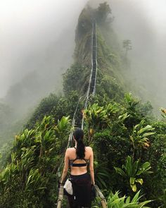 a woman is walking up a steep path in the jungle on a foggy day