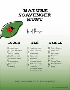 the nature scavenger hunt is shown in green and white with ladybugs on it