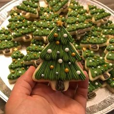 a hand holding a christmas tree shaped cookie on top of a white and green plate