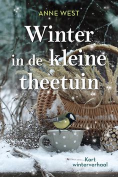 winter in de kliene theetun by kort winterheibal