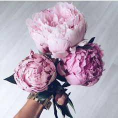 a hand holding three pink peonies in it's left arm and the other one on its right