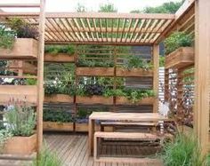 an outdoor garden with wooden benches and plants