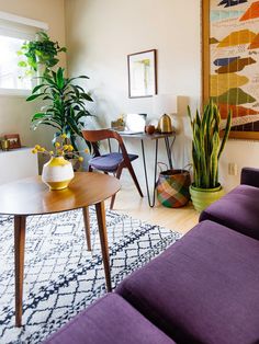 a living room filled with furniture and a large potted plant on top of a table