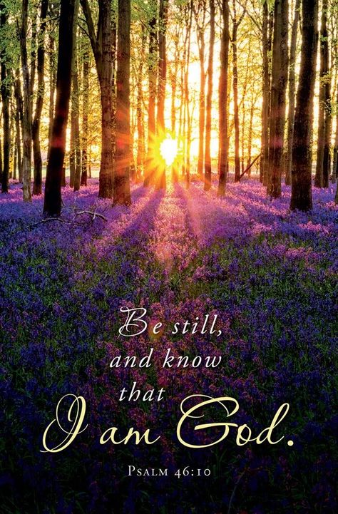 I Am God, Church Bulletin, Beautiful Bible Verses, Be Still And Know, Psalm 46 10, Inspirational Bible Quotes, Bible Verses Quotes Inspirational, Bible Words, Biblical Quotes