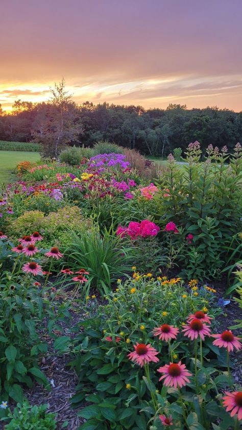 summer flowers garden inspiration ideas Garden Design With Flowers, Yard Full Of Flowers, Wild Flower Gardens Backyards, Flower Garden Inspiration Backyards, Wildflower Backyard Landscaping, Wildflower Cottage Garden, Cottage Core Front Yard, Dream Flower Garden, Wild Flower Farm