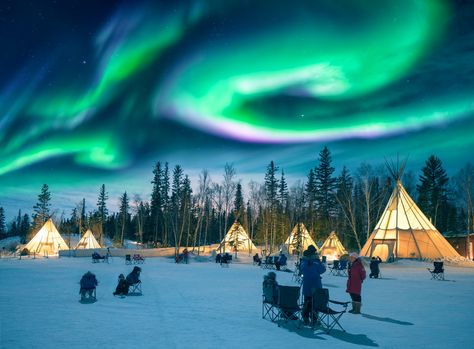 Amazing northern lights dancing over the tepees at Aurora Village in Yellowknife. Nature, Trondheim, Lofoten, Tromso, Aurora Village, 7 Natural Wonders, See The Northern Lights, Seven Wonders, Natural Phenomena