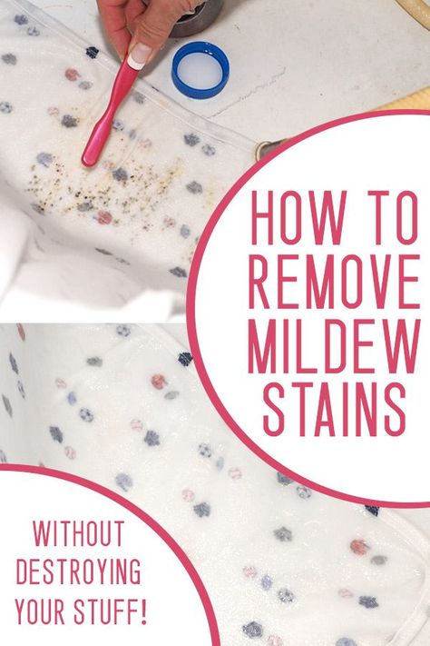 how to remove mildew from clothes - don't  just throw out mildew ruined things before trying this! It took me less than 3 minutes to save a mildew stained blanket with this tip. Mildew Stains, Homemade Toilet Cleaner, Hardwood Floor Cleaner, Cleaning Painted Walls, Glass Cooktop, Deep Cleaning Tips, Mold Remover, Toilet Cleaning, Clean Dishwasher