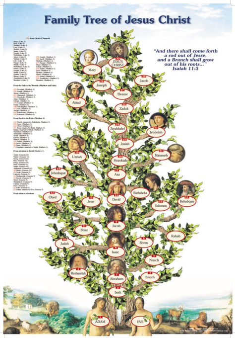 JESUS FAMILY TREE RECORDS – GOD'S HOTSPOT Jesus Family Tree, Lineage Of Jesus, Bible Family Tree, Bible Genealogy, Jesus Image, Genealogy Of Jesus, Bible Timeline, Family Tree With Pictures, Family Tree Poster