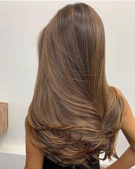 Rambut Brunette, Brown Straight Hair, Highlights For Dark Brown Hair, Golden Brown Hair, Honey Brown Hair, Brown Hair Looks, Brown Hair Inspo, Hair Color Caramel, Vlasové Trendy