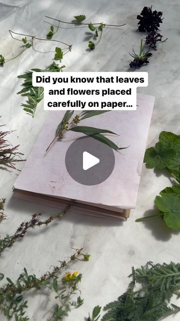 Dyeing Paper With Natural Dyes, Eco Printing Paper, Eco Print Paper, Printing On Handmade Paper, Eco Diy Projects, Natural Dye Projects, Flower Printing On Paper, Eco Printing On Paper, Eco Printing Tutorial Step By Step