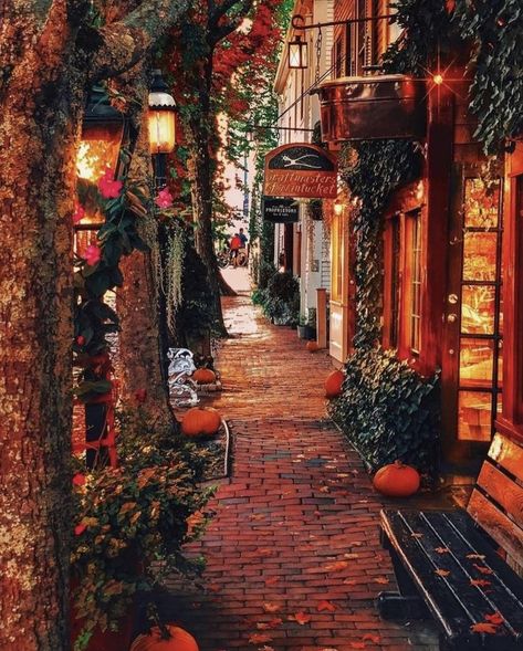 Salem Massachusetts Travel, Massachusetts Aesthetic, Salem Halloween, Massachusetts Travel, Zell Am See, New England Fall, Autumn Magic, Japon Illustration, Autumn Scenes