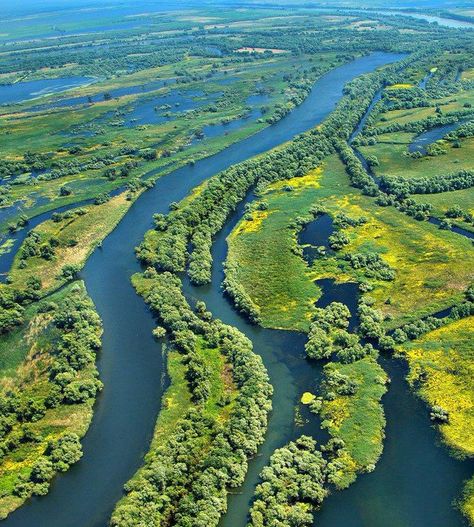 Danube Delta, Visit Romania, Tour Around The World, California Coastal, Travel Wishlist, Online Support, Aerial Photo, Travel Info, Summer School