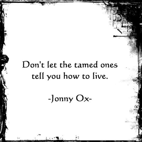 "Don't let the tamed ones tell you how to live." ~ Jonny Ox Bohol, Wanderlust Quotes, Free Spirit Quotes, Spirit Quotes, Travel Quotes Wanderlust, Enjoy The Ride, Wild Hearts, Super Ideas, Pretty Words